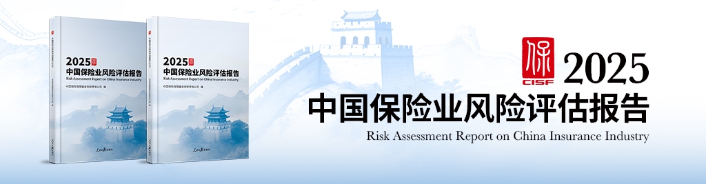 中国保险业风险评估报告2025发布